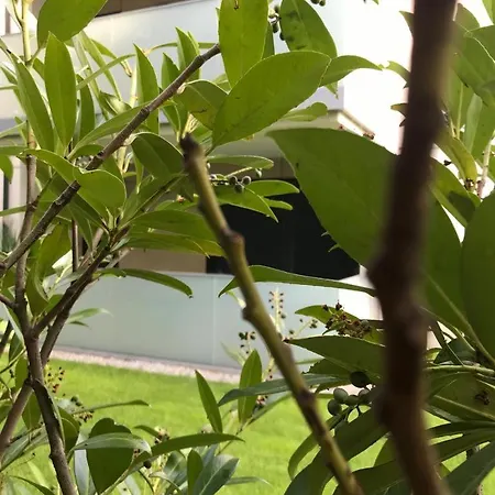 Lägenhet Balticsunset Przy Plazy *