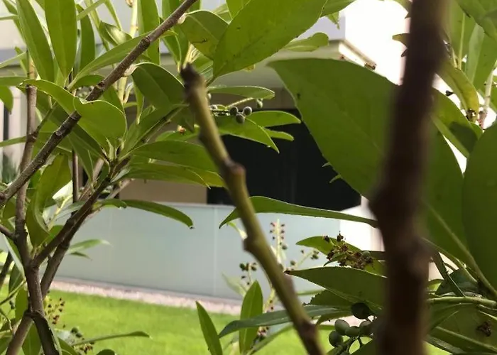 Appartamento Balticsunset Przy Plazy *